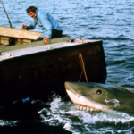 ‘Jaws’ turns 50. It changed pop culture and our perception of sharks