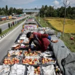 ‘Gone to waste’: Kashmir growers watch apples rot as key highway is blocked